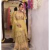 Yellow Multi Color Embroidered Tissue Gown